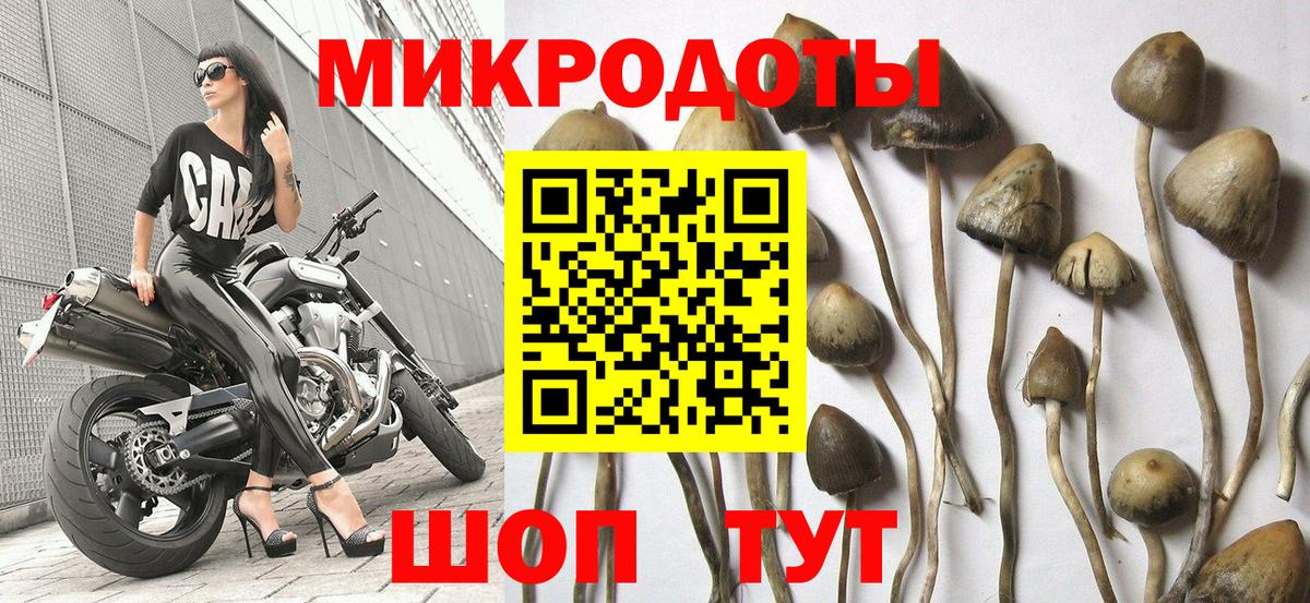 Псилоцибиновые грибы мухоморы Волхов