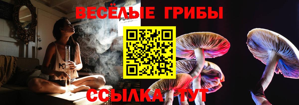 Волхов  Галлюциногенные грибы Psilocybe  Вход с VPN  купить наркоту  Псилоцибиновые грибы Cubensis 
